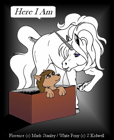 White Pony finds Florence.